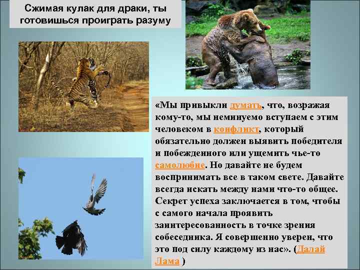 Сжимая кулак для драки, ты готовишься проиграть разуму «Мы привыкли думать, что, возражая кому-то,