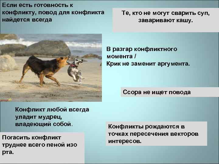 Если есть готовность к конфликту, повод для конфликта найдется всегда Те, кто не могут