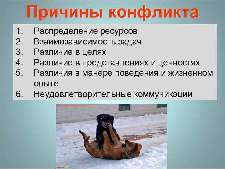 Причины конфликта 1. 2. 3. 4. 5. 6. Распределение ресурсов Взаимозависимость задач Различие в