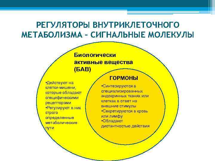 РЕГУЛЯТОРЫ ВНУТРИКЛЕТОЧНОГО МЕТАБОЛИЗМА – СИГНАЛЬНЫЕ МОЛЕКУЛЫ Биологически активные вещества (БАВ) • Действуют на клетки-мишени,
