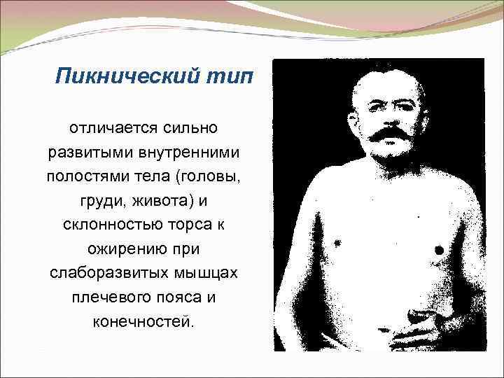 Пикнический тип отличается сильно развитыми внутренними полостями тела (головы, груди, живота) и склонностью торса