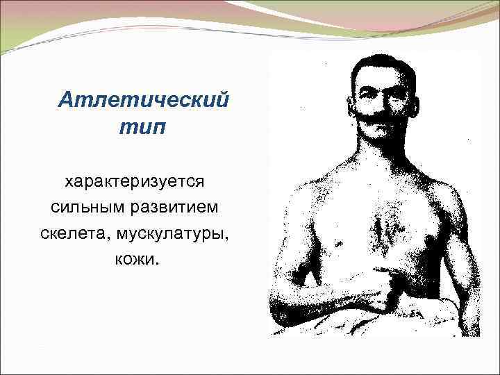 Атлетический тип характеризуется сильным развитием скелета, мускулатуры, кожи. 