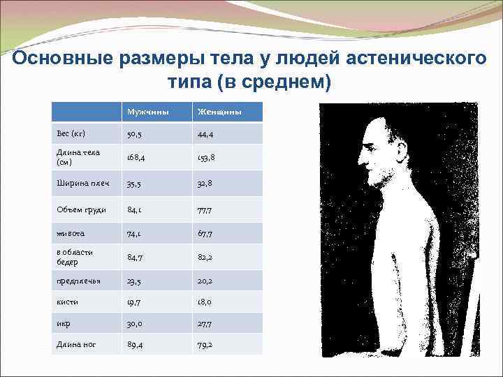 Ширина плеч у мужчин. Основные Размеры тела. Стандартные Размеры человека. Средняя толщина туловища человека. Ширина плеч мужчины в среднем.