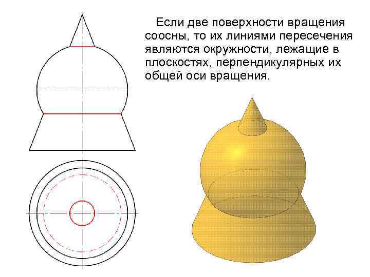 Если две поверхности вращения соосны, то их линиями пересечения являются окружности, лежащие в плоскостях,