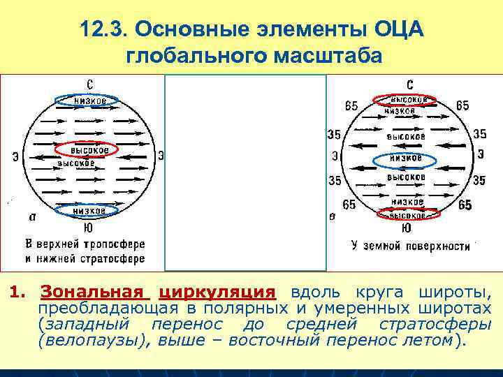 Общая циркуляция атмосферы 7 класс. Элементы общей циркуляции атмосферы. Низкие и высокие широты. Основные элементами общей циркуляции атмосферы. Зональная циркуляция.