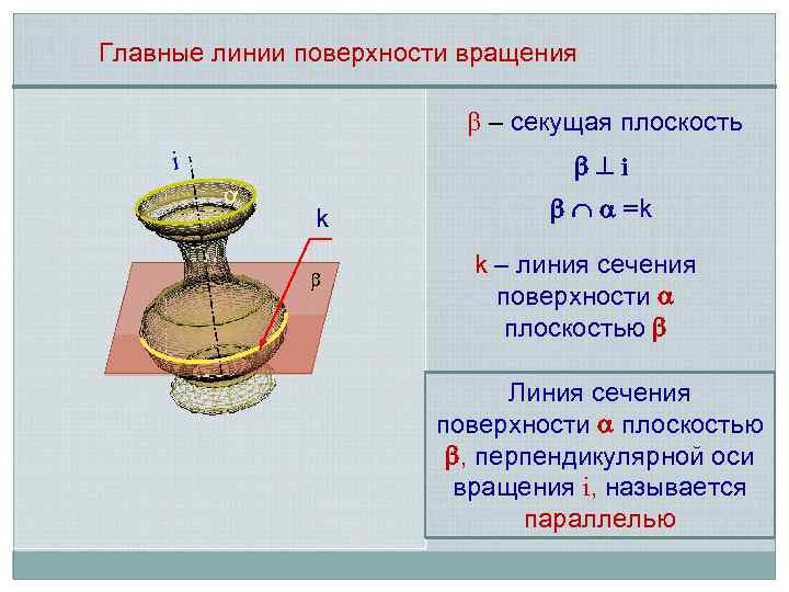 Главные линии поверхности вращения – секущая плоскость i i k =k k – линия