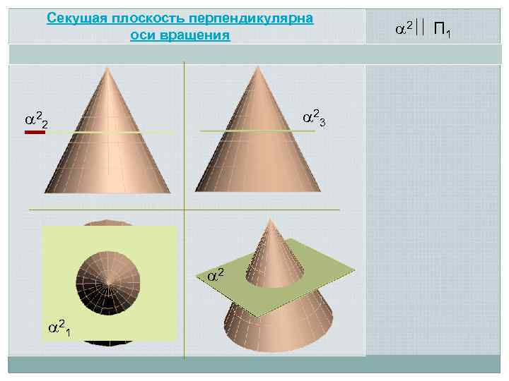 Секущая плоскость перпендикулярна оси вращения 23 22 2 21 2 П 1 