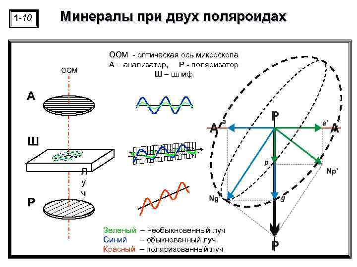 I-1 -9 1 -10 Минералы при двух поляроидах ООМ - оптическая ось микроскопа А