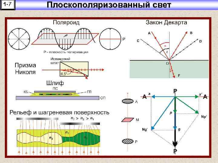 1 -7 Плоскополяризованный свет 