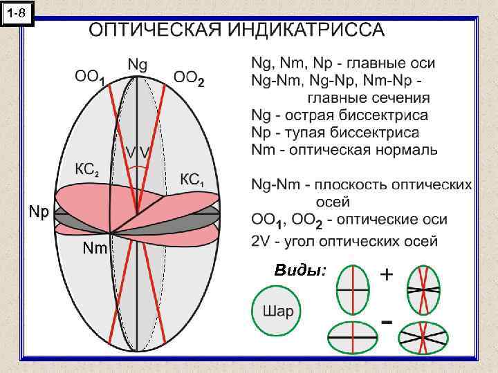 1 -8 Np Nm Виды: 