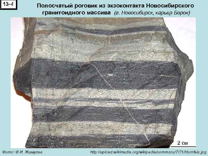 13 -4 Полосчатый роговик из экзоконтакта Новосибирского гранитоидного массива (г. Новосибирск, карьер Борок) 2