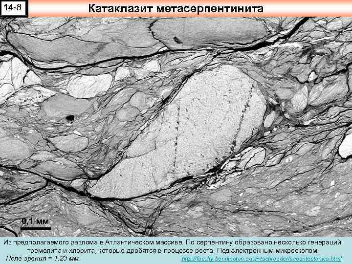 Катаклазит метасерпентинита 14 -8 0, 1 мм Из предполагаемого разлома в Атлантическом массиве. По