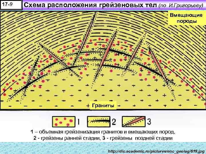 17 -9 Схема расположения грейзеновых тел (по И. Григорьеву) Вмещающие породы Граниты 1 –