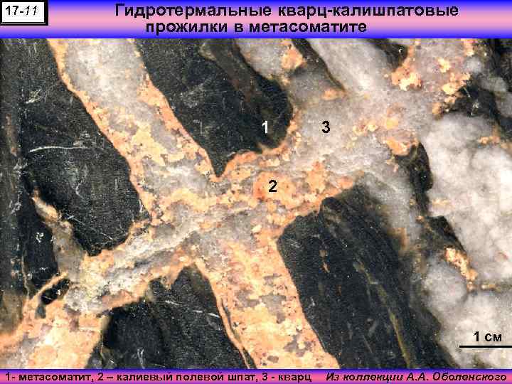 17 -11 Гидротермальные кварц-калишпатовые прожилки в метасоматите 1 3 2 1 см 1 -