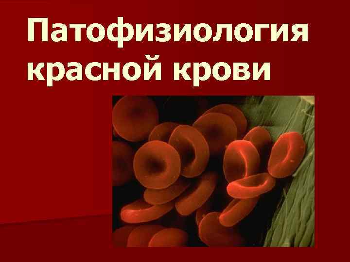 Патофизиология красной крови 
