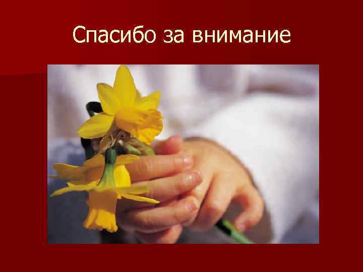 Спасибо за внимание 