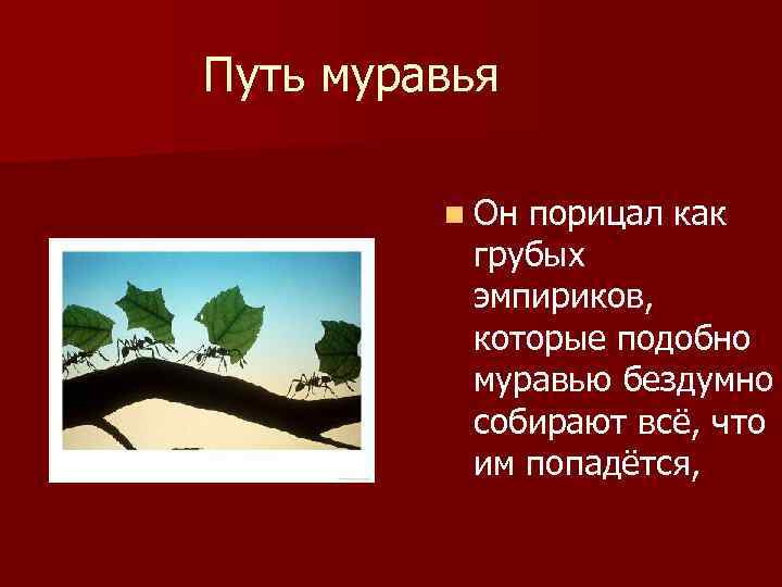 Путь муравья n Он порицал как грубых эмпириков, которые подобно муравью бездумно собирают всё,