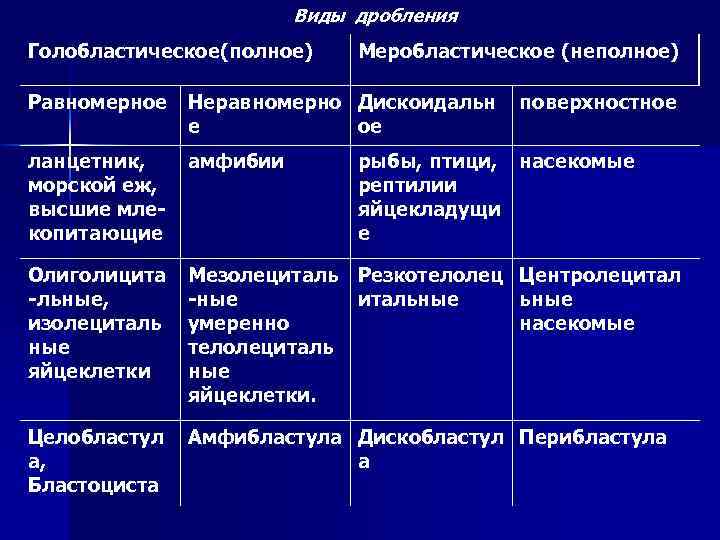 Виды дробления Голобластическое(полное) Меробластическое (неполное) Равномерное Неравномерно Дискоидальн е ое поверхностное ланцетник, морской еж,