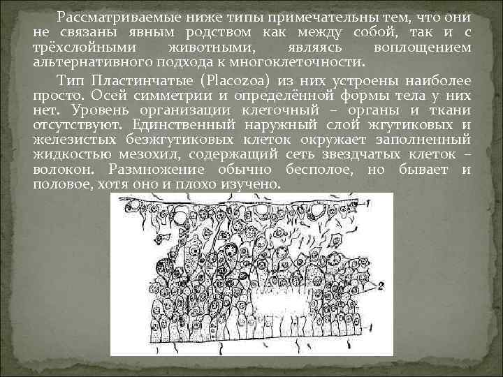 Рассматриваемые ниже типы примечательны тем, что они не связаны явным родством как между собой,