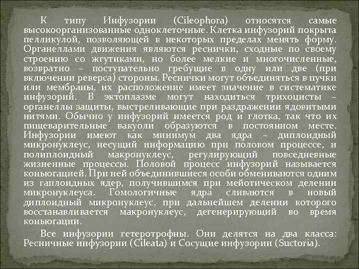 К типу Инфузории (Cileophora) относятся самые высокоорганизованные одноклеточные. Клетка инфузорий покрыта пелликулой, позволяющей в