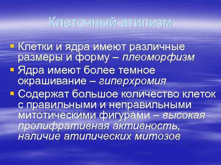 Клеточный атипизм § Клетки и ядра имеют различные размеры и форму – плеоморфизм §