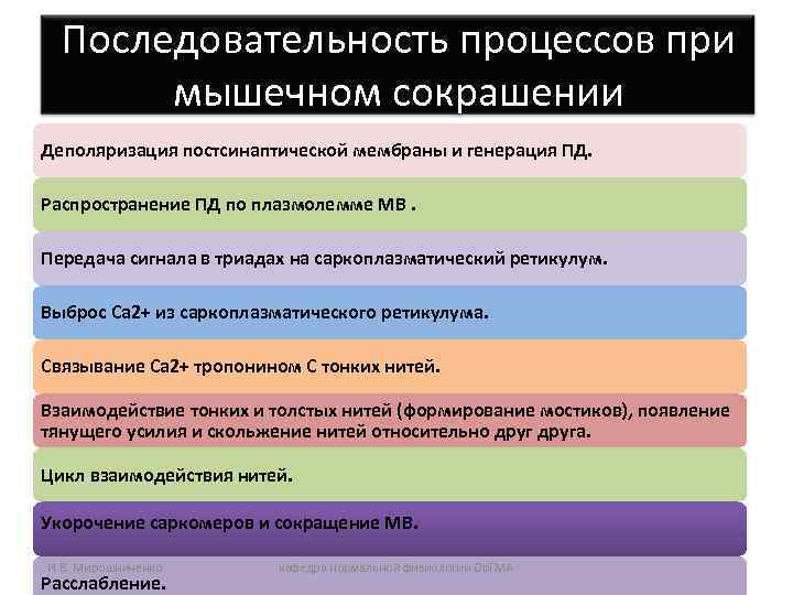 Последовательность процессов при мышечном сокрашении Деполяризация постсинаптической мембраны и генерация ПД. Распространение ПД по