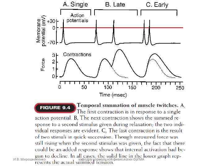 И. В. Мирошниченко кафедра нормальной физиологии Ор. ГМА 
