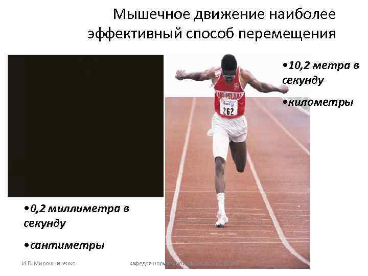 Мышечное движение наиболее эффективный способ перемещения • 10, 2 метра в секунду • километры