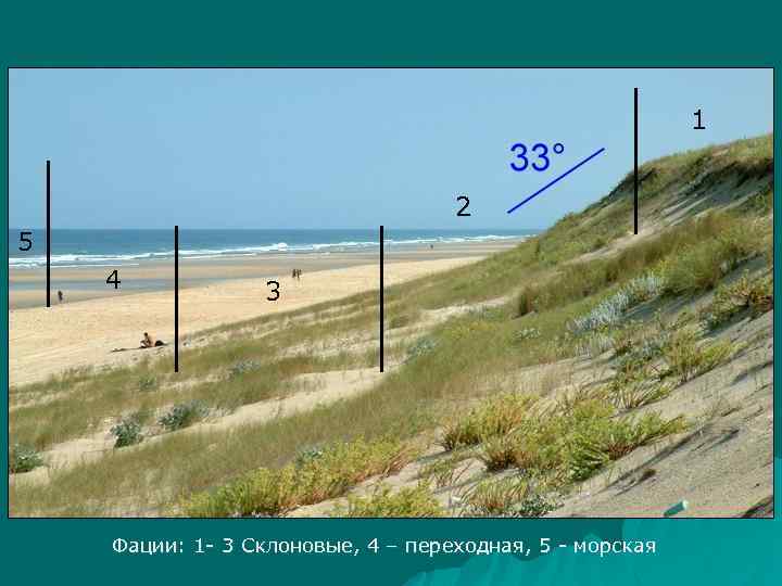 1 2 5 4 3 Фации: 1 - 3 Склоновые, 4 – переходная, 5