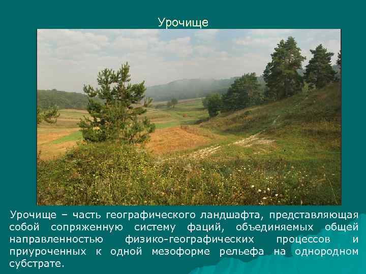 Урочище – часть географического ландшафта, представляющая собой сопряженную систему фаций, объединяемых общей направленностью физико-географических