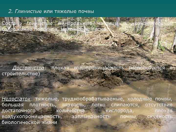 2. Глинистые или тяжелые почвы Состав: глинистые минеральные частицы содержание перегноя, малая доля песка