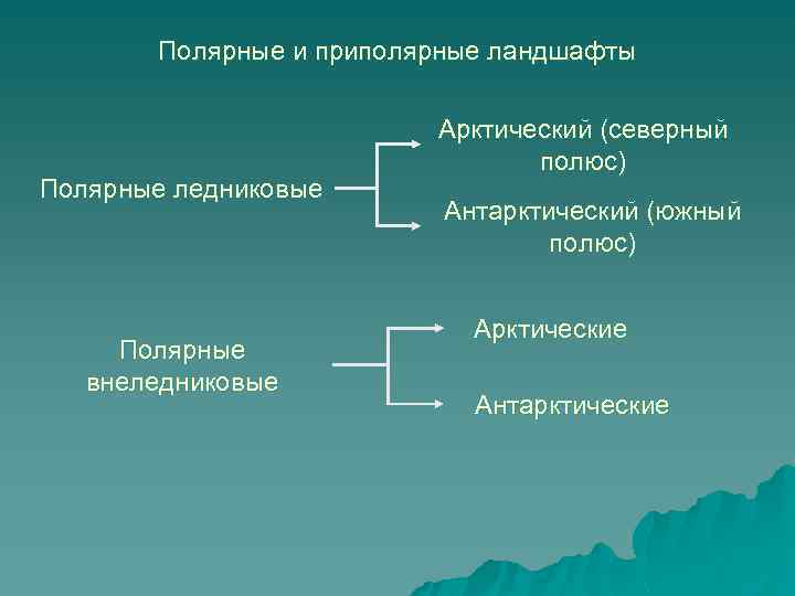 Полярные и приполярные ландшафты Полярные ледниковые Полярные внеледниковые Арктический (северный полюс) Антарктический (южный полюс)