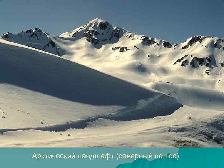 Арктический ландшафт (северный полюс) 