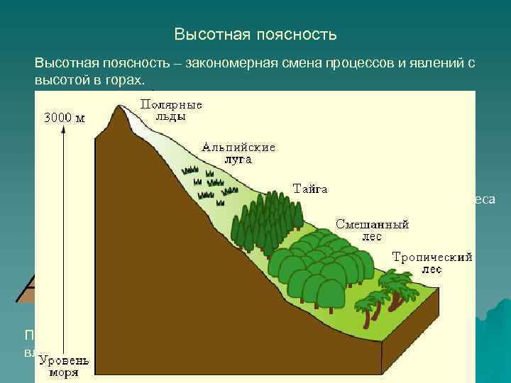 Высотная поясность – закономерная смена процессов и явлений с высотой в горах. Гляциально-нивальная Горная