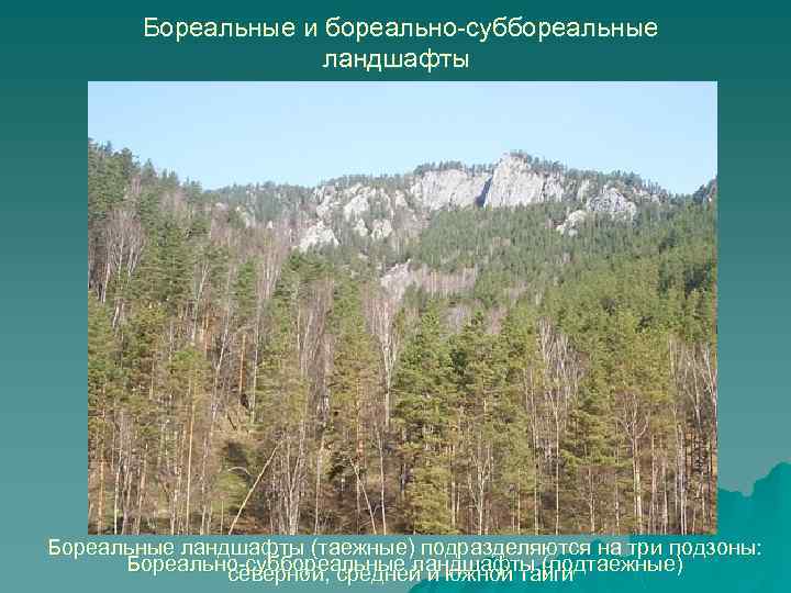 Бореальные и бореально-суббореальные ландшафты Бореальные ландшафты (таежные) подразделяются на три подзоны: Бореально-суббореальные ландшафты (подтаежные)
