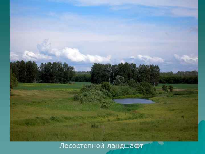 Лесостепной ландшафт 