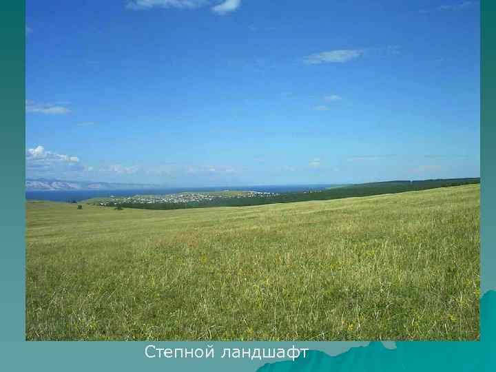 Степной ландшафт 