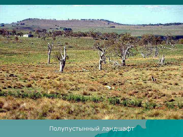 Полупустынный ландшафт 