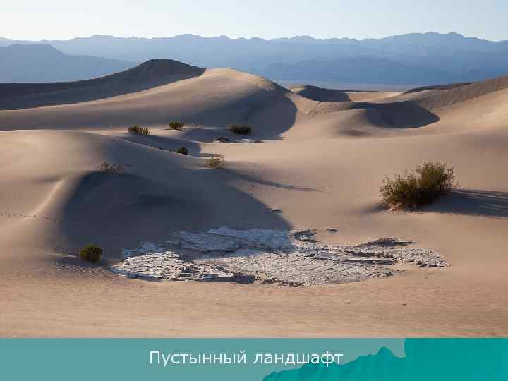 Пустынный ландшафт 