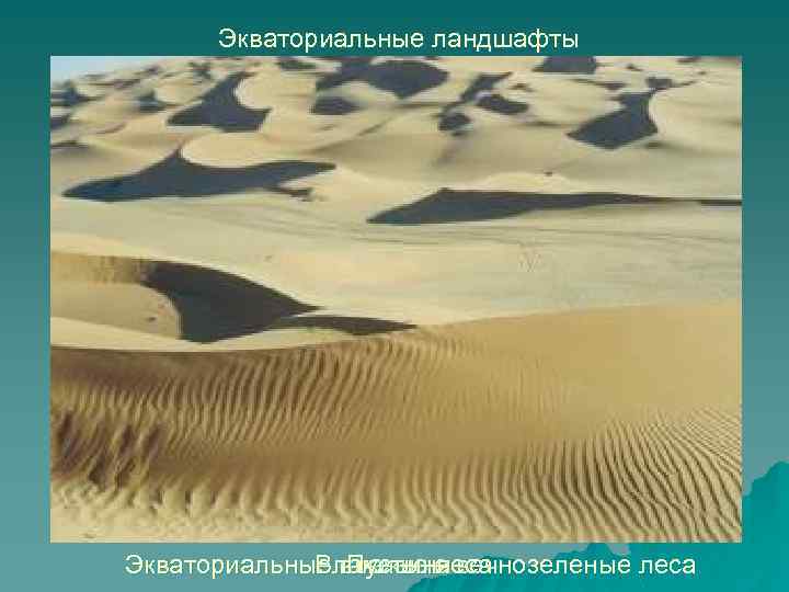 Экваториальные ландшафты Экваториальные влажные вечнозеленые леса Влажные леса Пустыня 