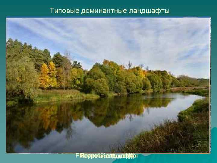 Типовые доминантные ландшафты Речной ландшафт Озерныйландшафт Равнинныйландшафт Морскойландшафт Лесной ландшафт Горный ландшафт 