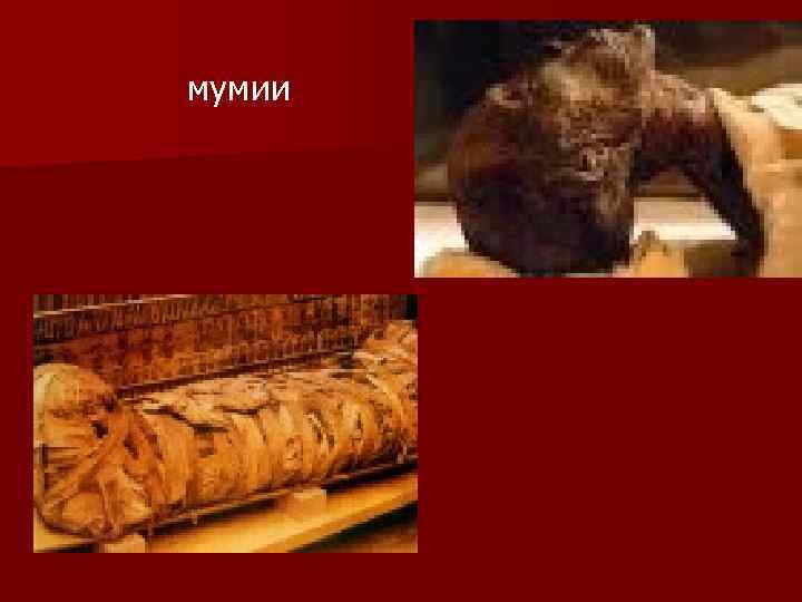 мумии 