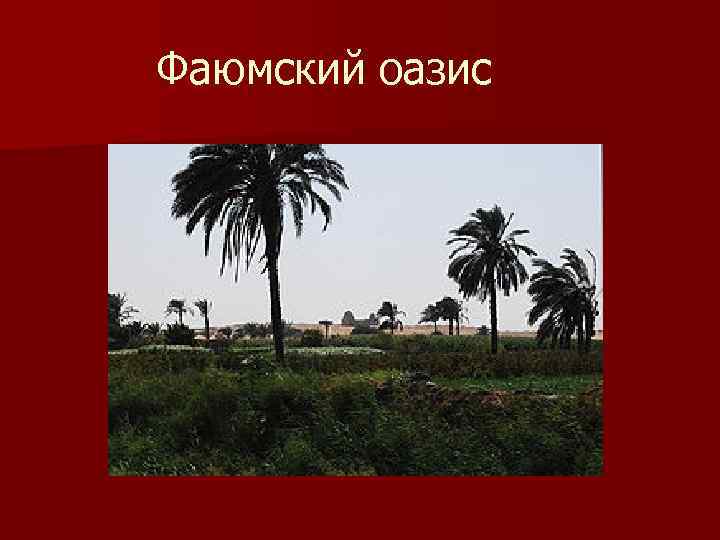 Фаюмский оазис 