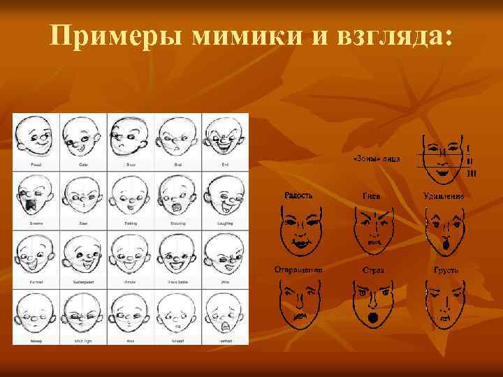 Примеры мимики и взгляда: 