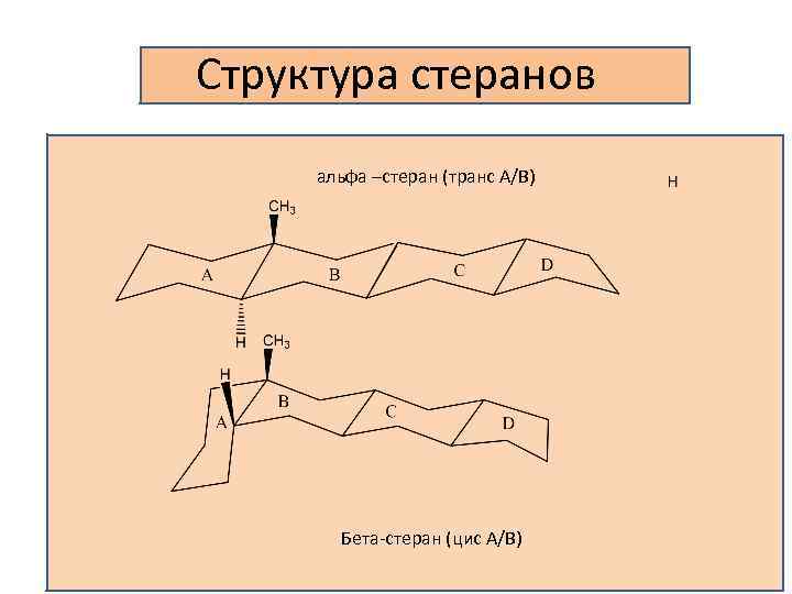 Структура стеранов альфа –стеран (транс А/В) Бета-стеран (цис А/В) 