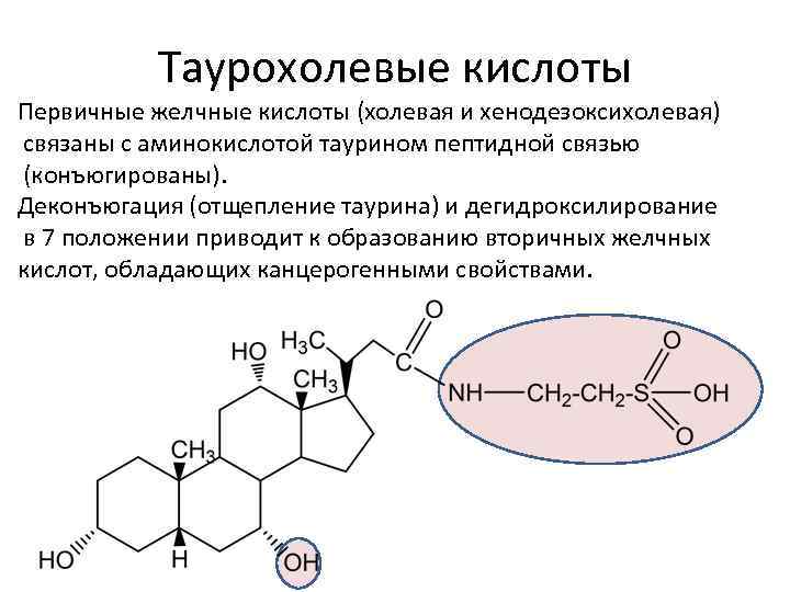 Таурохолевые кислоты Первичные желчные кислоты (холевая и хенодезоксихолевая) связаны с аминокислотой таурином пептидной связью