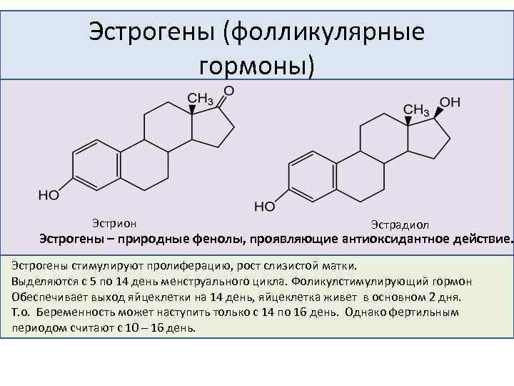 Эстрогены (фолликулярные гормоны) Эстрион Эстрадиол Эстрогены – природные фенолы, проявляющие антиоксидантное действие. Эстрогены стимулируют