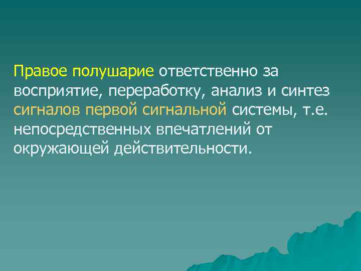 Правое полушарие ответственно за восприятие, переработку, анализ и синтез сигналов первой сигнальной системы, т.