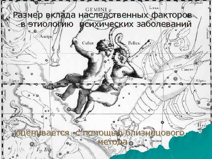 Размер вклада наследственных факторов в этиологию психических заболеваний оценивается с помощью близнецового метода 