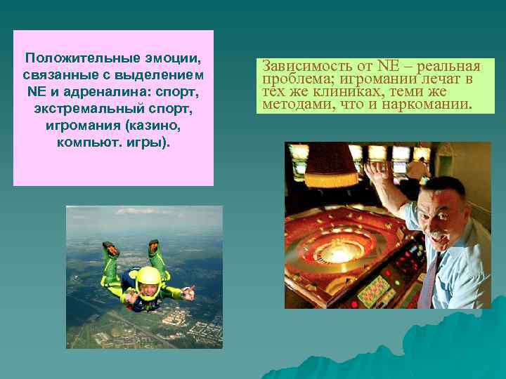 Положительные эмоции, связанные с выделением NE и адреналина: спорт, экстремальный спорт, игромания (казино, компьют.